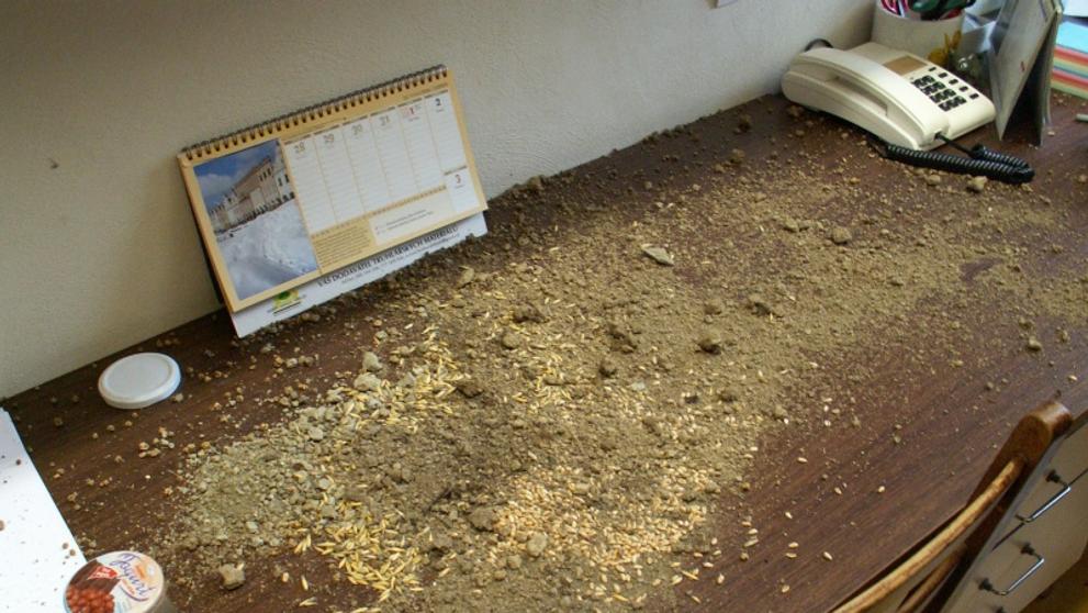 Vandal se vloupal do základní školy