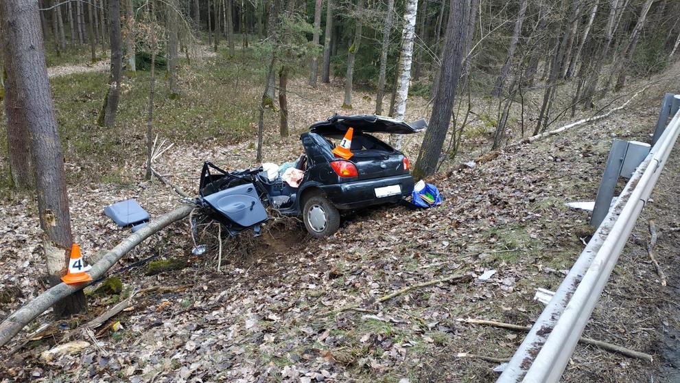 Tragická nehoda u Smetanovy Lhoty - 3