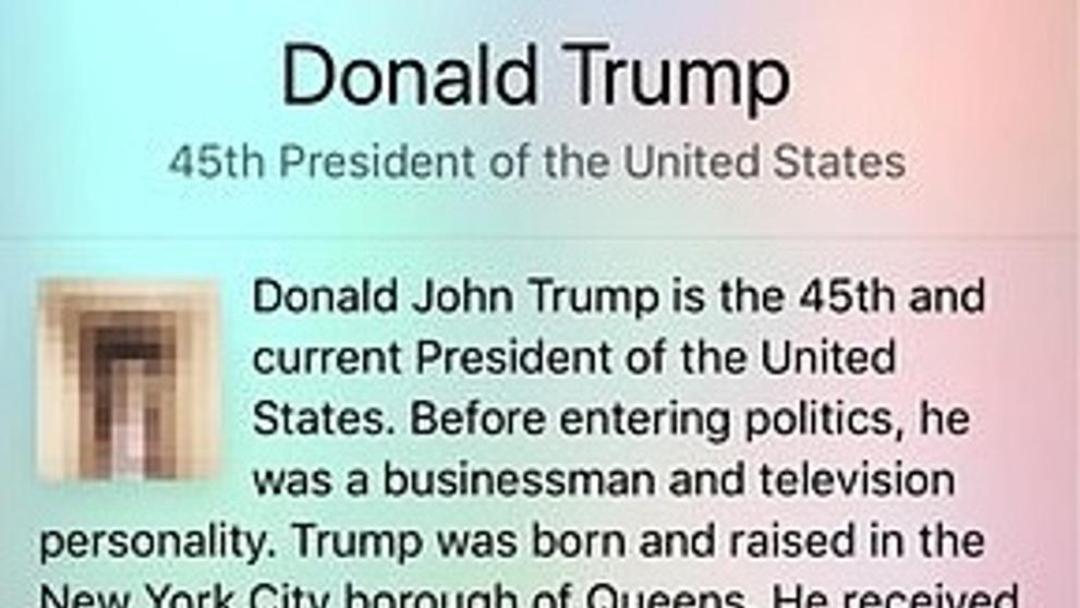 Místo Trumpa ukazovala Wikipedie penis - 1