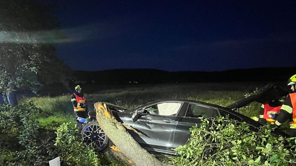 BMW přerazilo tři stromy - 2