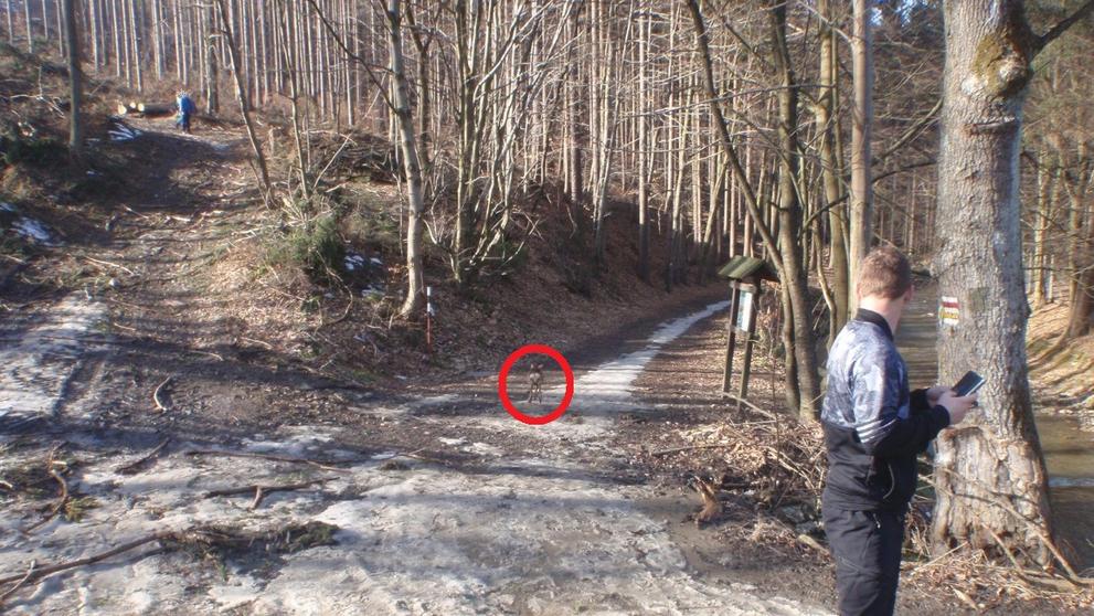 Hasiči vyprostili srnku