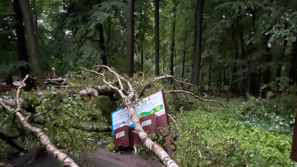 Spoušť v ostravské zoo