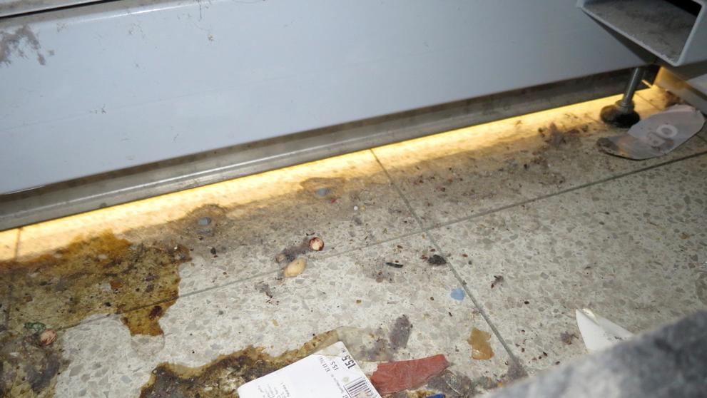 Potravinářská inspekce zavřela Tesco v Aši kvůli myšímu trusu - 6