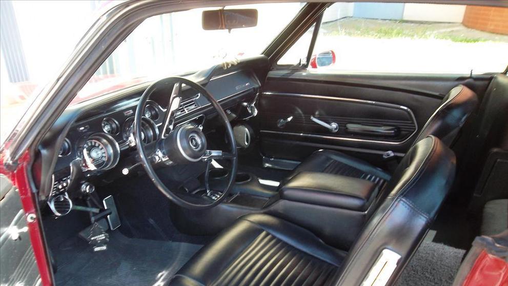 Mustang - 12