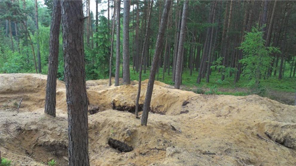 Rozkopaný les - 3