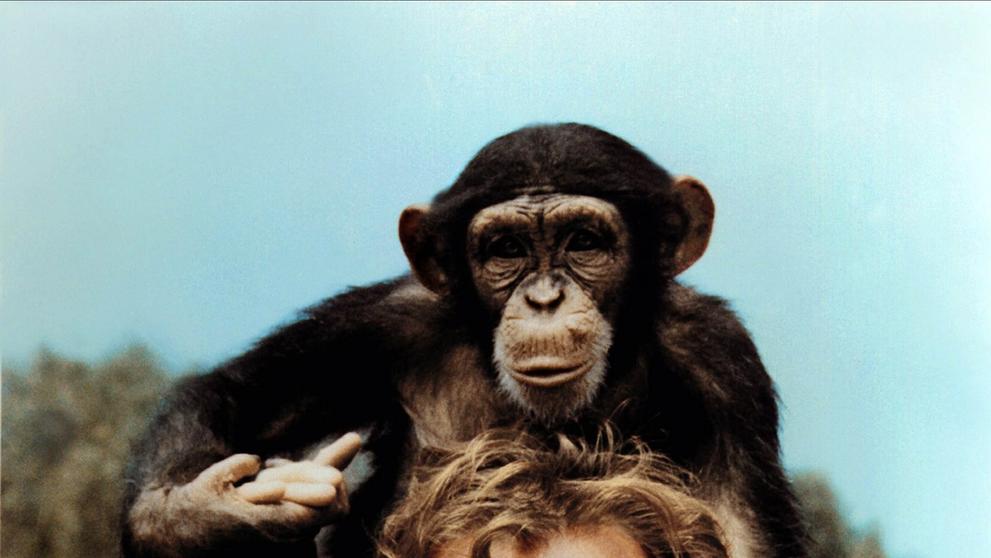 Ron Ely jako Tarzan, 1966 (3)