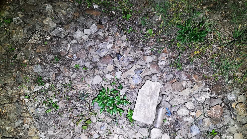 Kameny na kolejích zastavily vlak v pražských Dejvicích