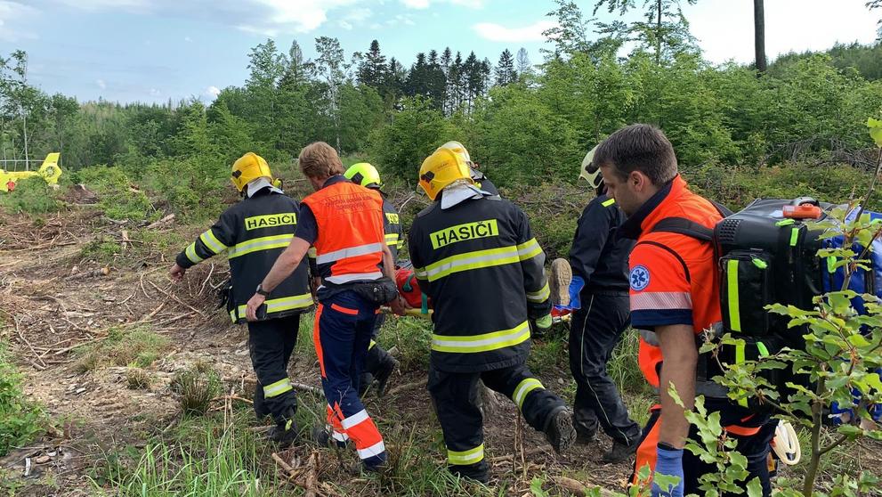 Muže zavalil strom na Olomoucku - 5