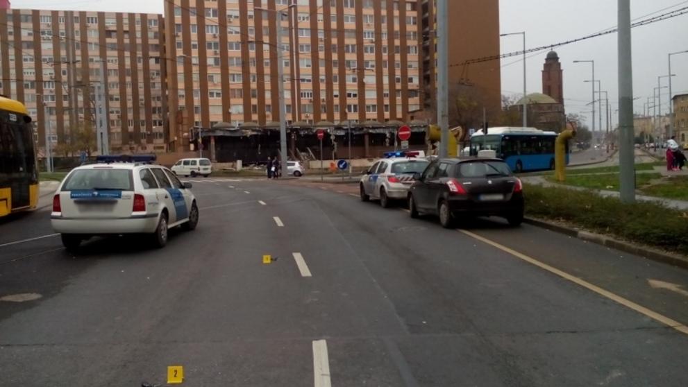 Lupiče v Maďarsku srazilo auto - 1