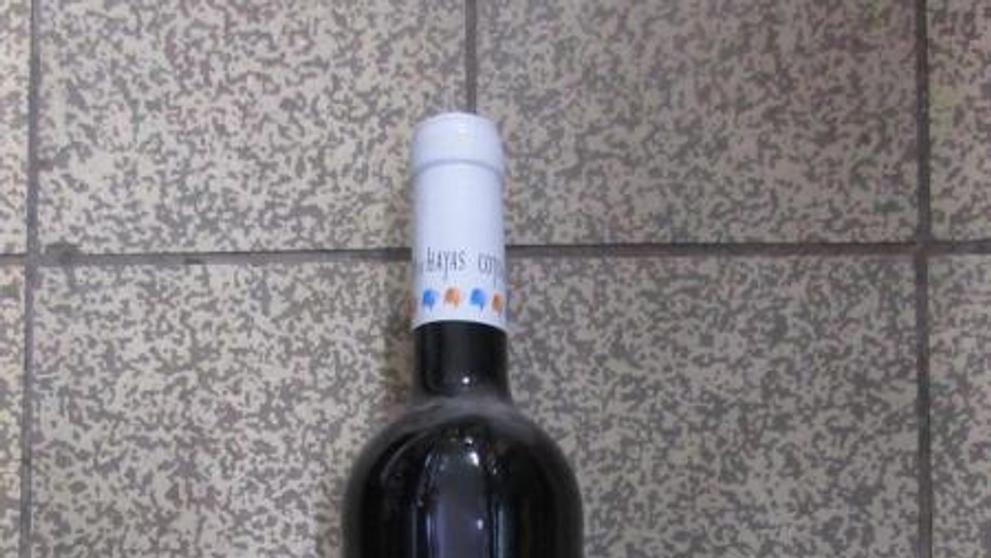 COTO DE HAYAS GARNACHA Syrah RED, Červené víno (2)