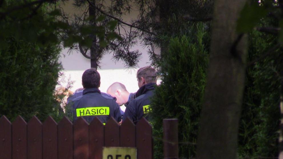 Muže ve Svojeticích zavalila fůra dřeva