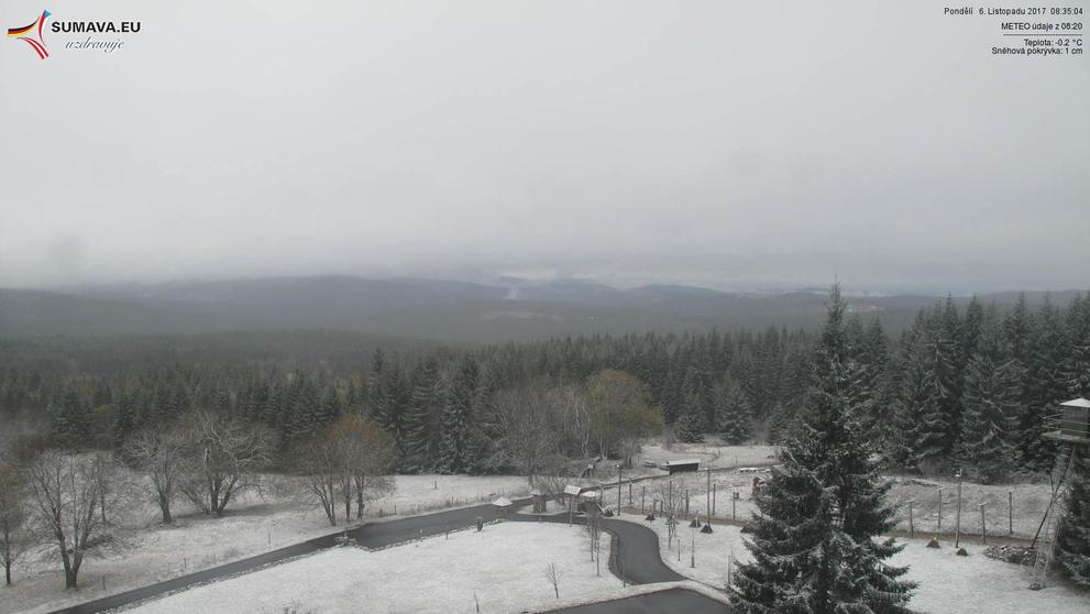Sníh na horách - Bučina