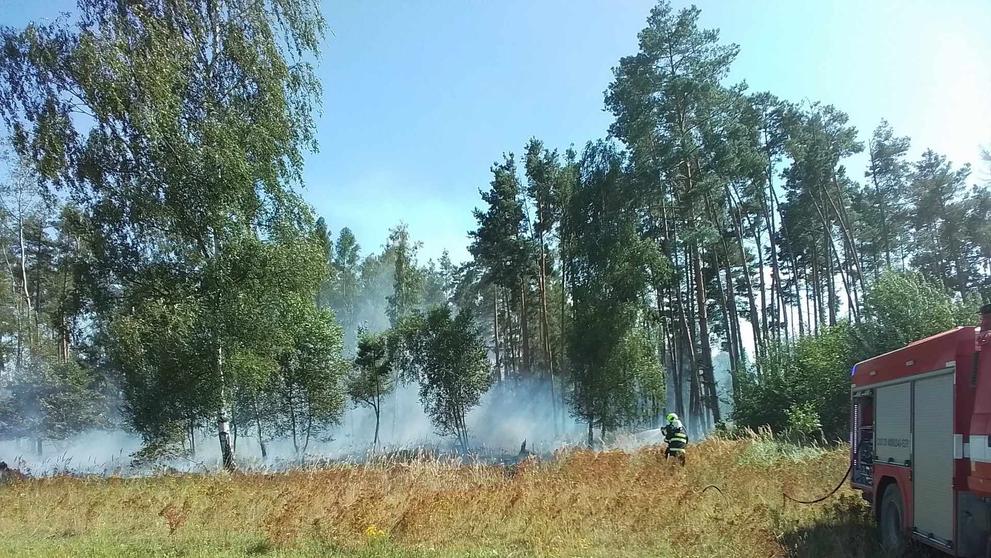 Požár lesního porostu u Brocna (1)