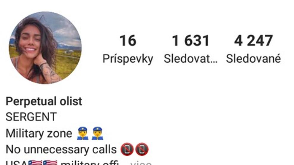 Falešný profil - 2