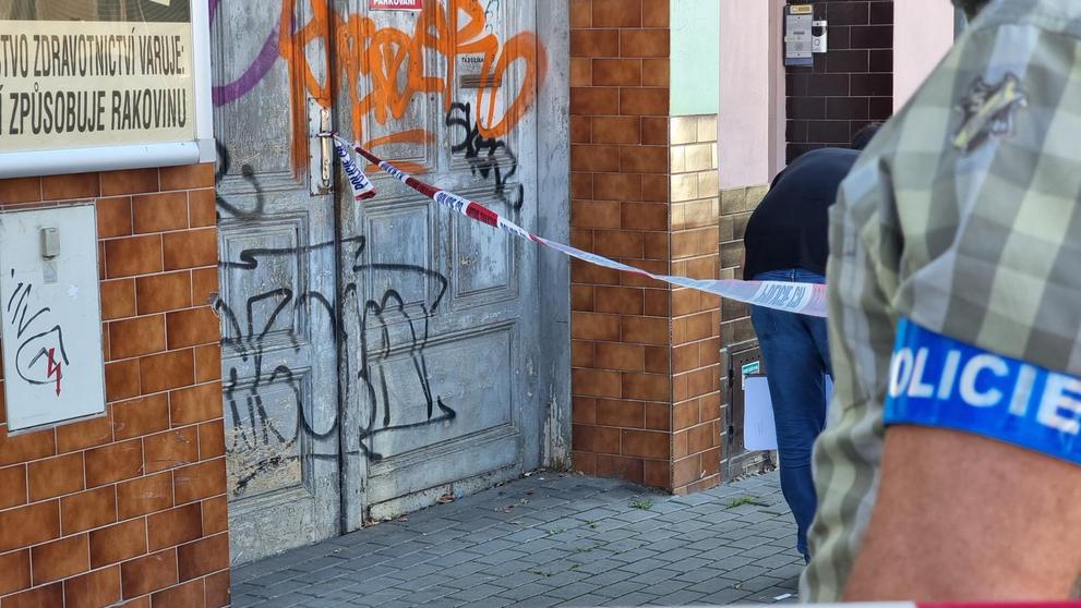 Napadení školačky v Brně (1)