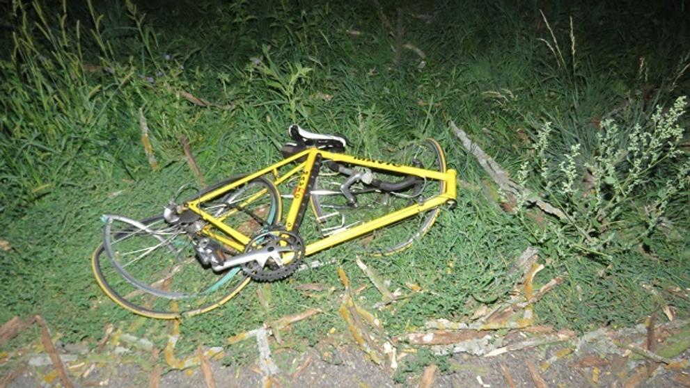 Na cyklisty spadl strom - 2