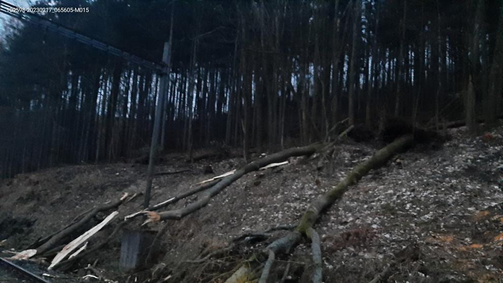 Pád stromu do prostoru dráhy (3)