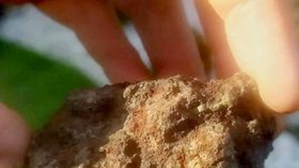 Meteorit z Blatné (1)