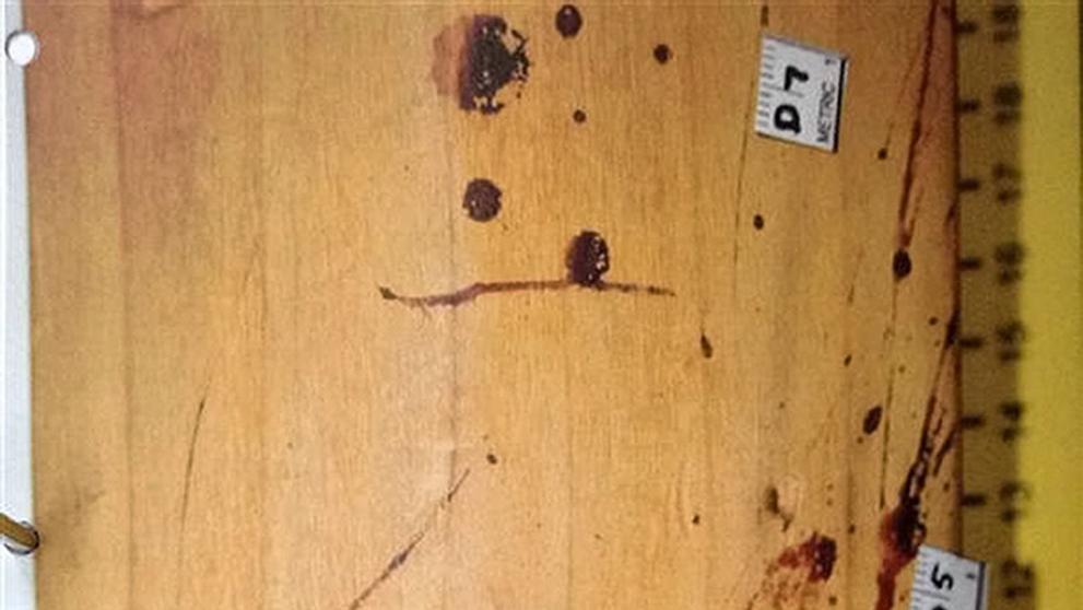 Oscar Pistorius měl nejdříve přítelkyni zbít pálkou - 1