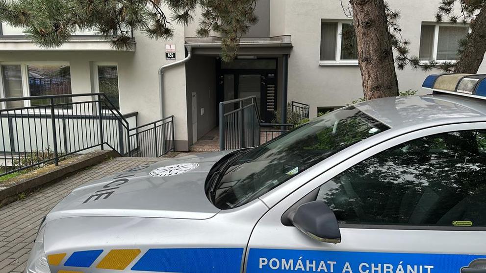 Policejní razie v Brně