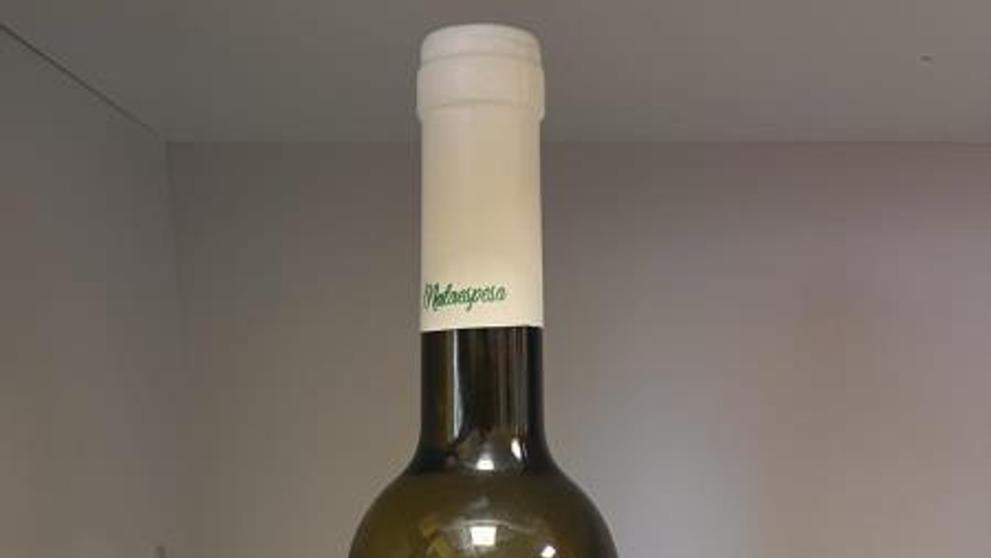 Viňa Mercedes Sauvignon blanc 2023 (1)