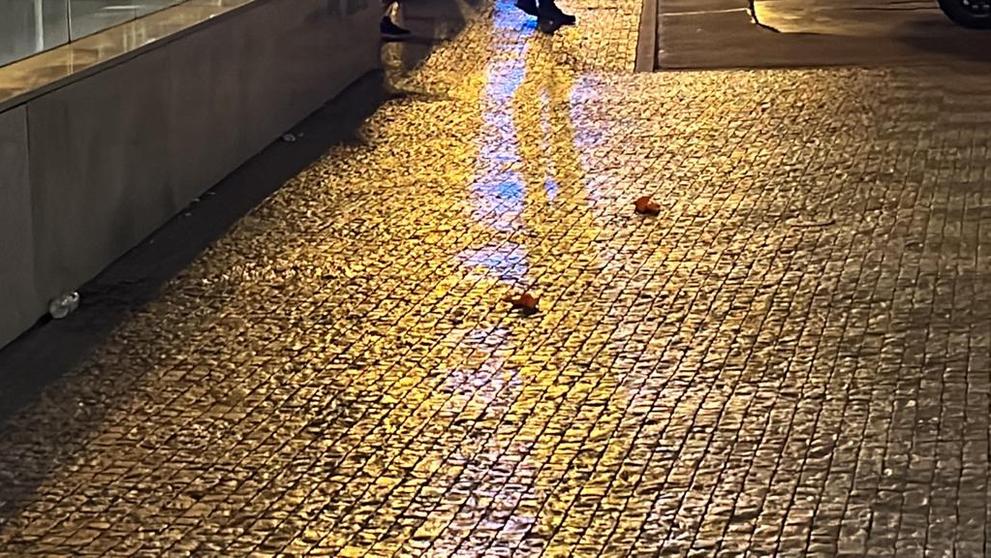 Konflikt před obchodním centrem Kotva