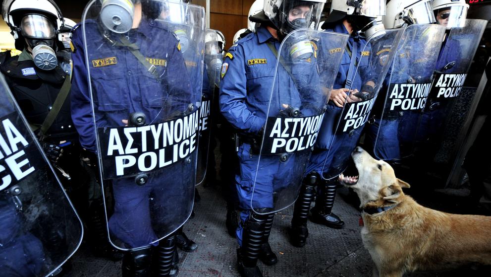 Zemřel psí rebel Loukanikos - 7