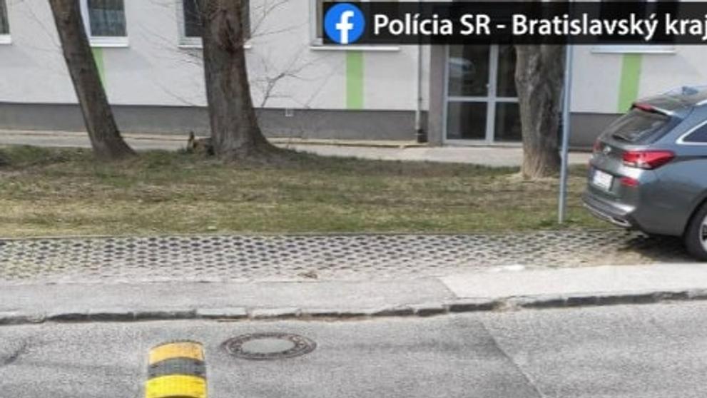 Kříže v Bratislavě