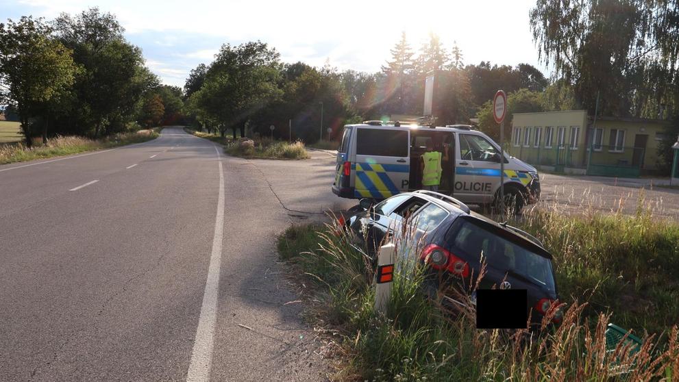Na řidiče zaútočila sarančata (3)