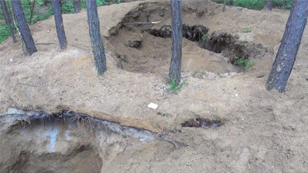 Rozkopaný les - 2
