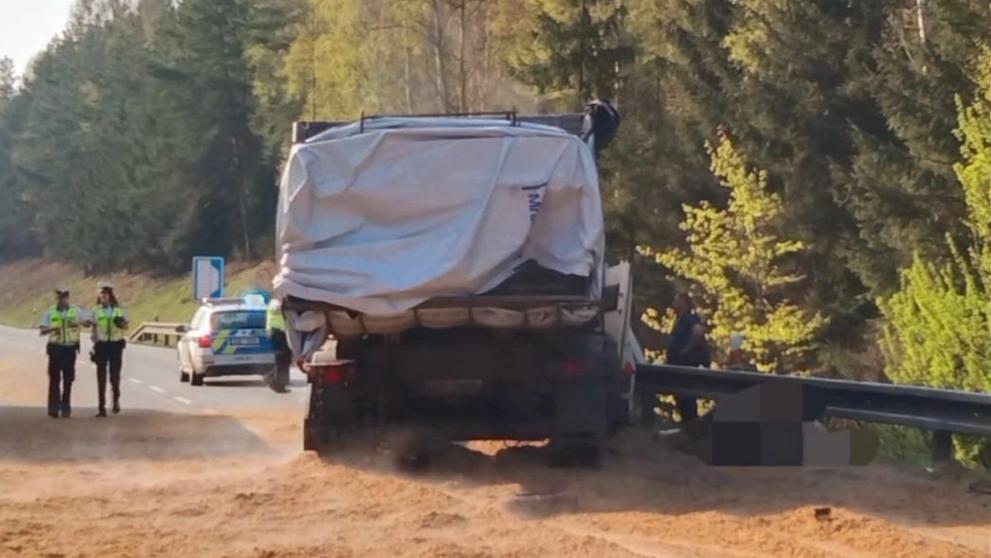 Nehoda koně 2 (cropped)
