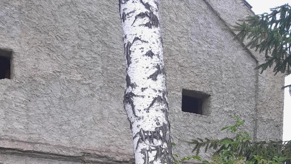 Následky sobotních bouřek