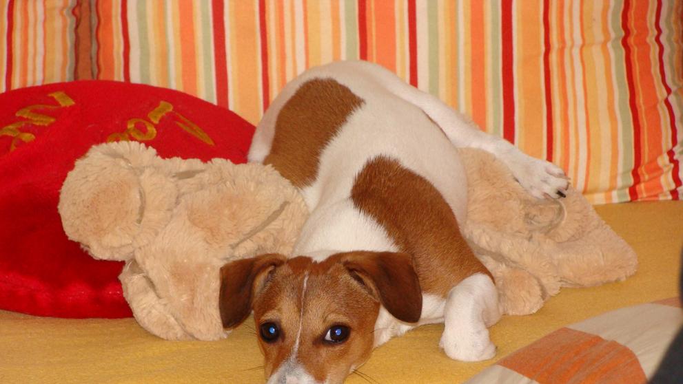 1. Jessy