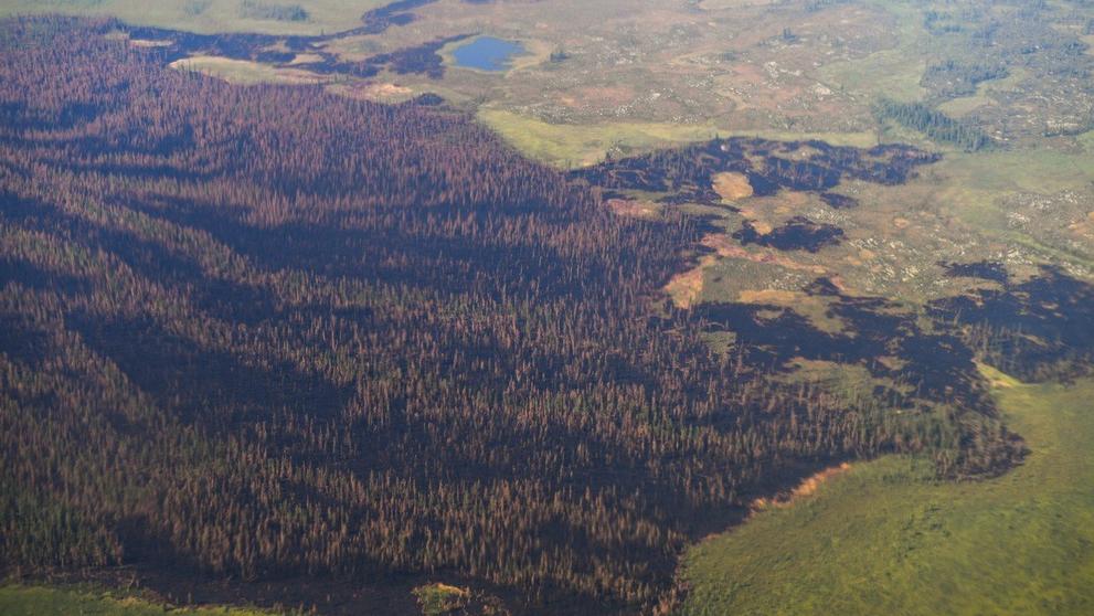 Ničivé požáry na Sibiři - 1