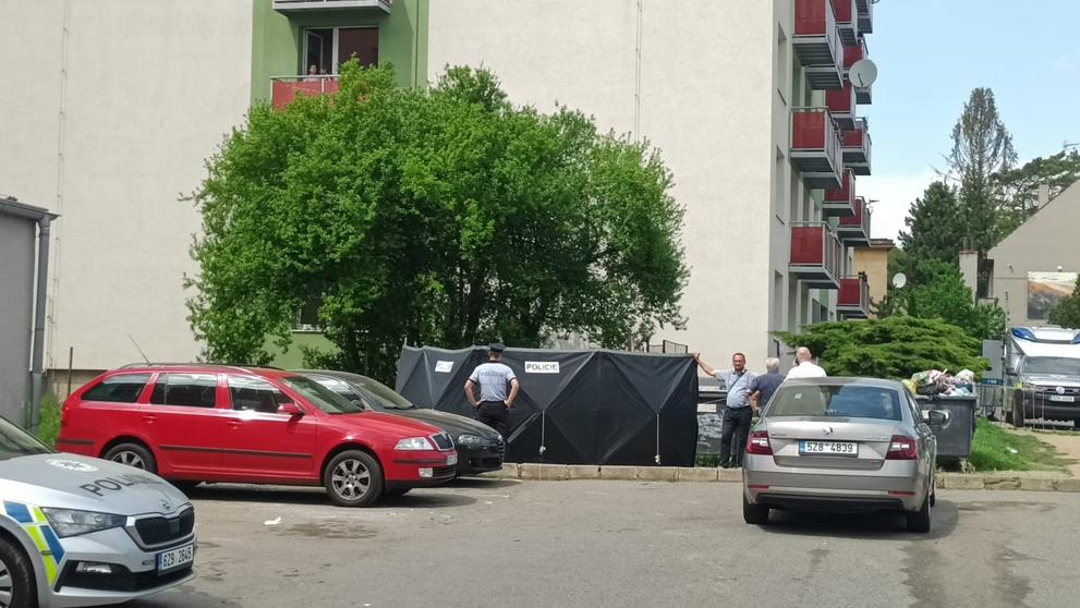 Pátrání po novorozenci