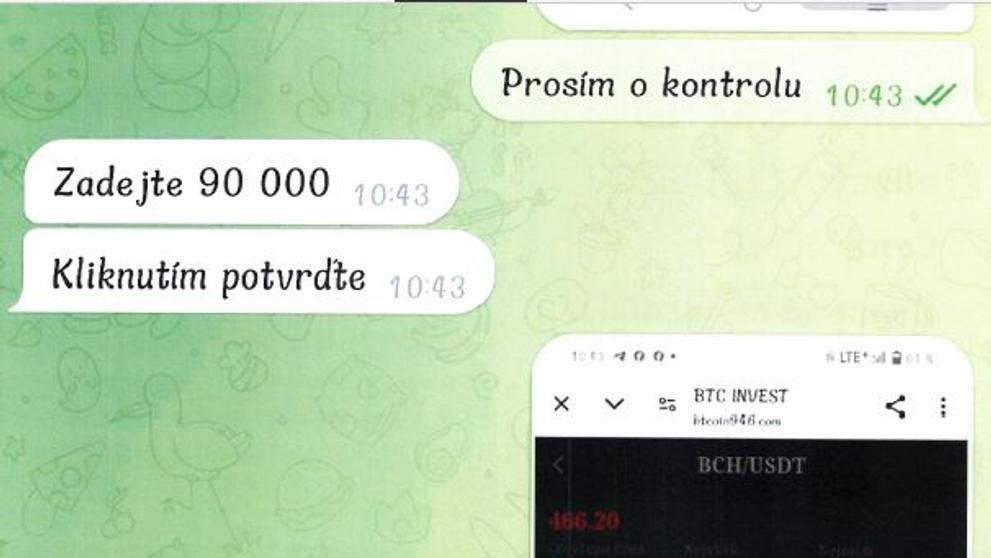 Internetový podvod (15)