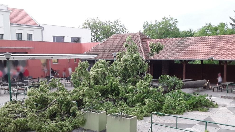 Silné bouřky napáchaly škody po celém Česku - 1