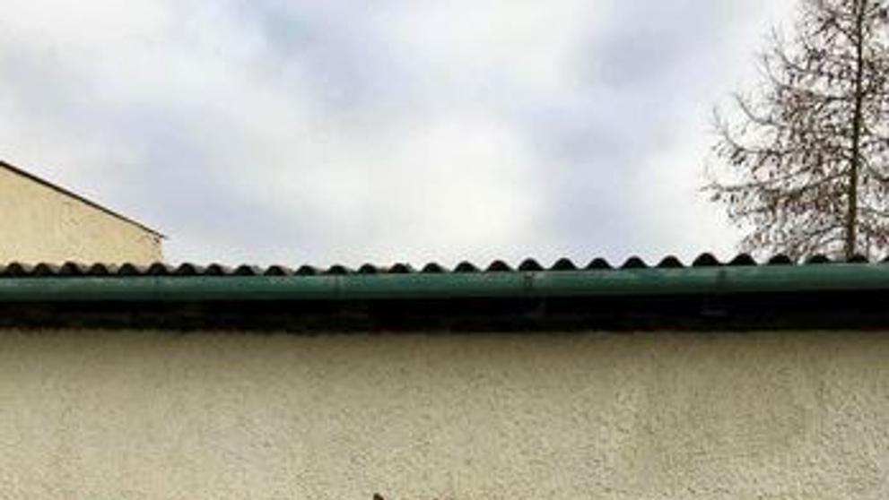 Zaklíněný kůň v oknu - 1