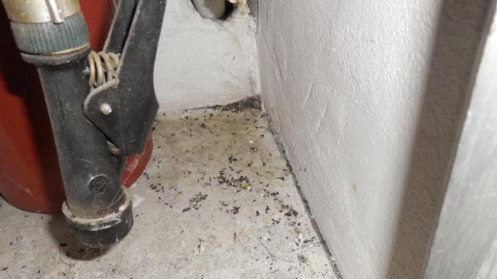 SZPI uzavřela další restauraci a hernu - 3