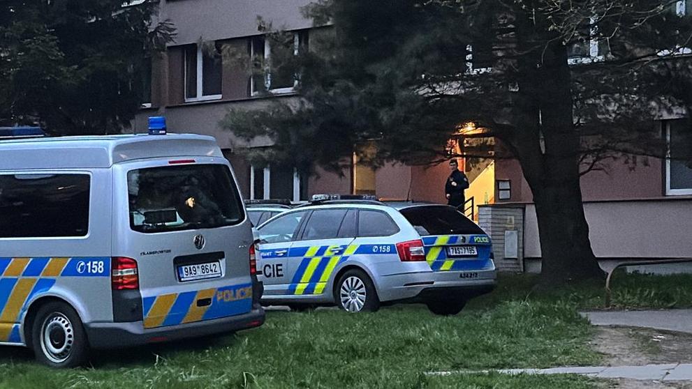 Policie na místě činu (4)