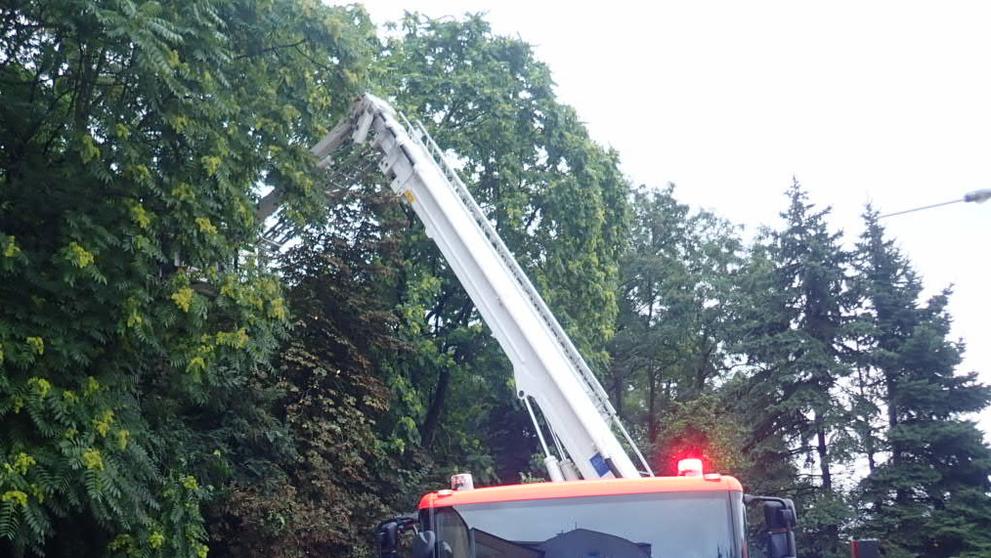 Vytrvalý desť v Moravskoslezském kraji - 1