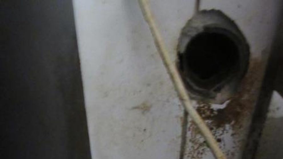 Inspekce našla v restauraci na Chebsku trus a mrtvé hlodavce