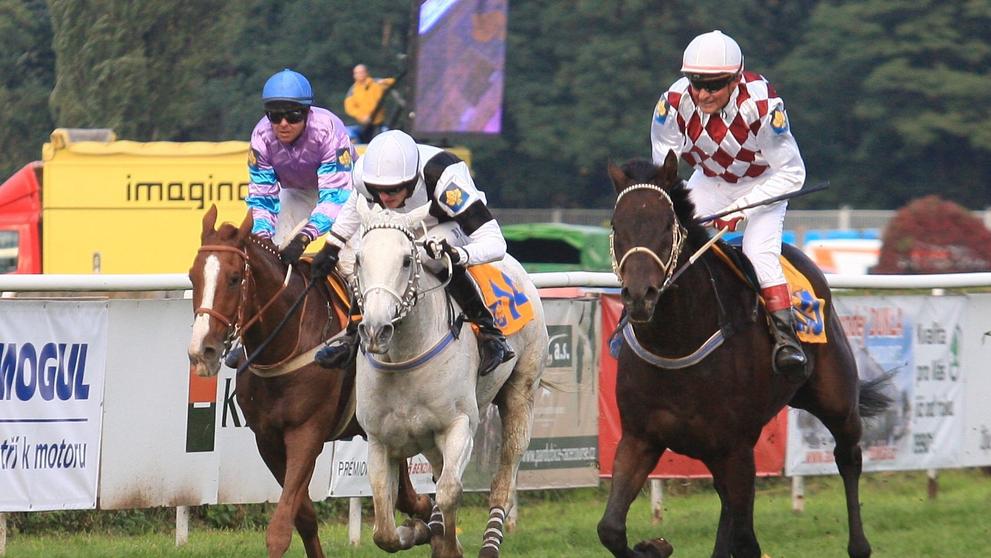 Váňa a Velká pardubická - 4