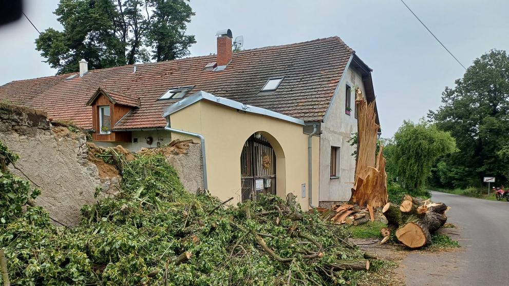 Sedlčany se vzpamatovávají z vichřice (6)