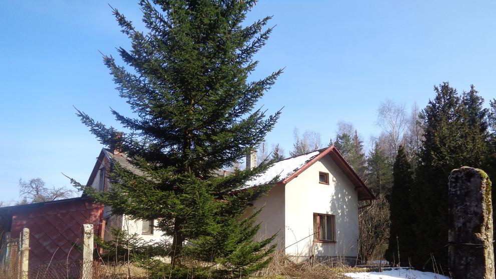 Nemovitost - Kvěná