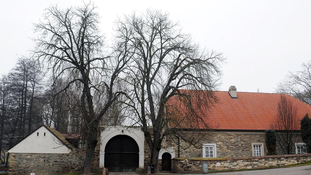 Dům Petra Hapky na Okoři - 3