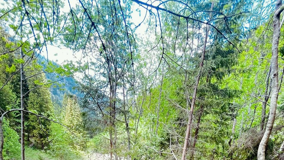 Turistický chodník v úseku Ždiar – Široké sedlo