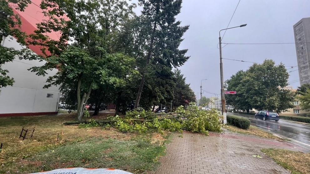 Bouřky se ženou Českem