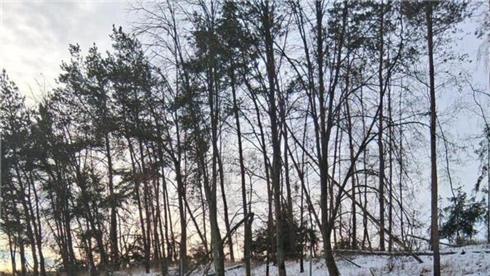 Nehoda 6 vozidel na 153. km D1