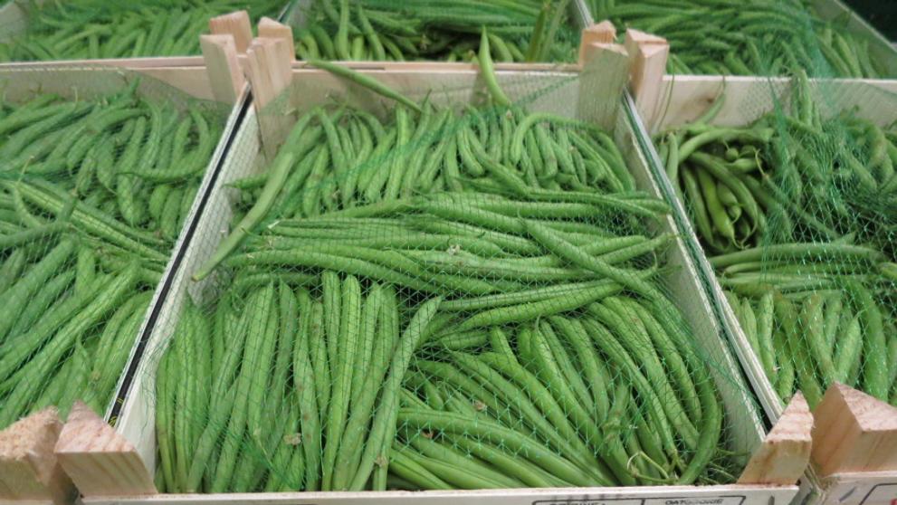Zelenina s nadlimitní přítomností pesticidů - 2